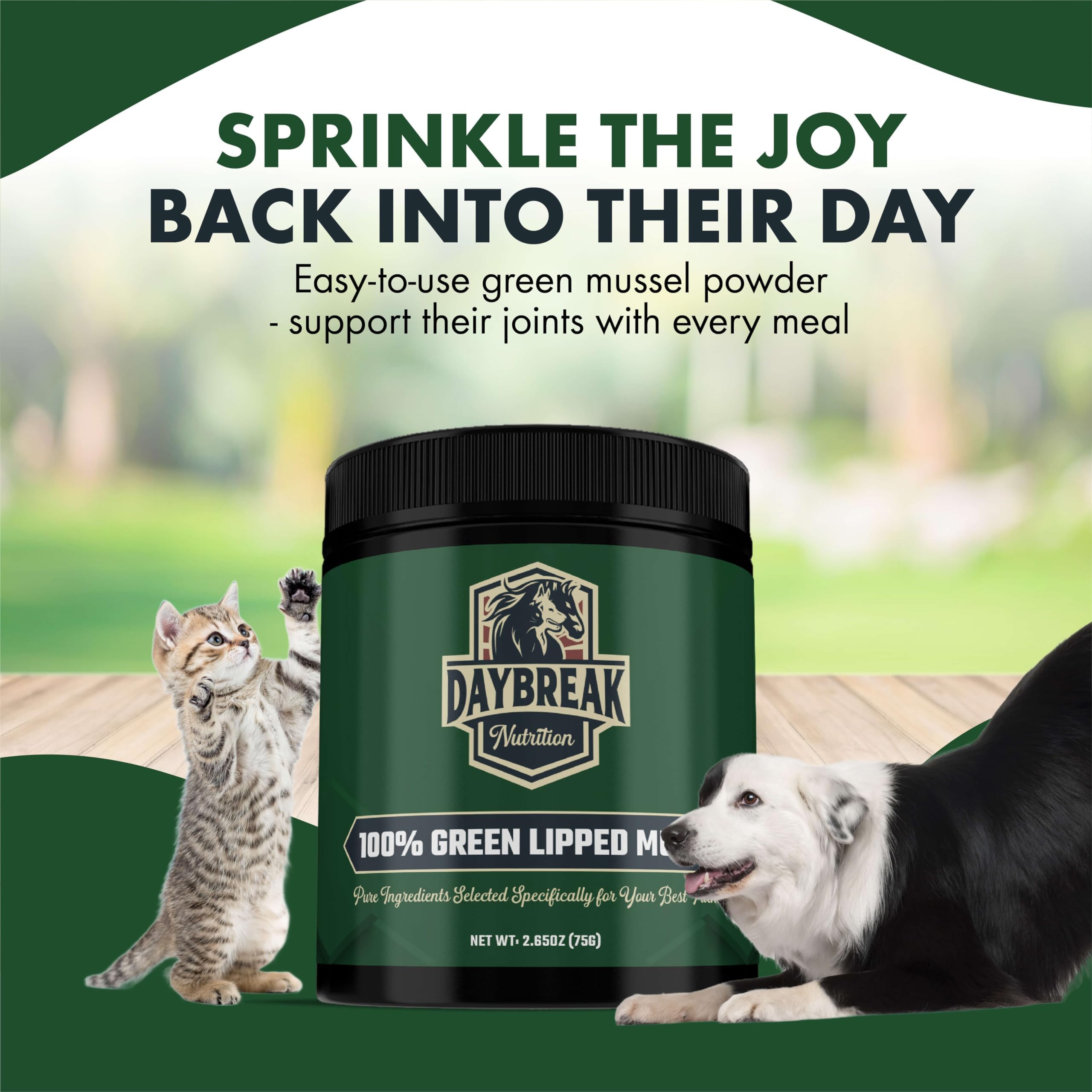 Clear label on the Daybreak Nutrition mussel powder bottle for easy recognition.