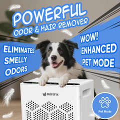 DAYETTE air purifier back view with controls and diffuser