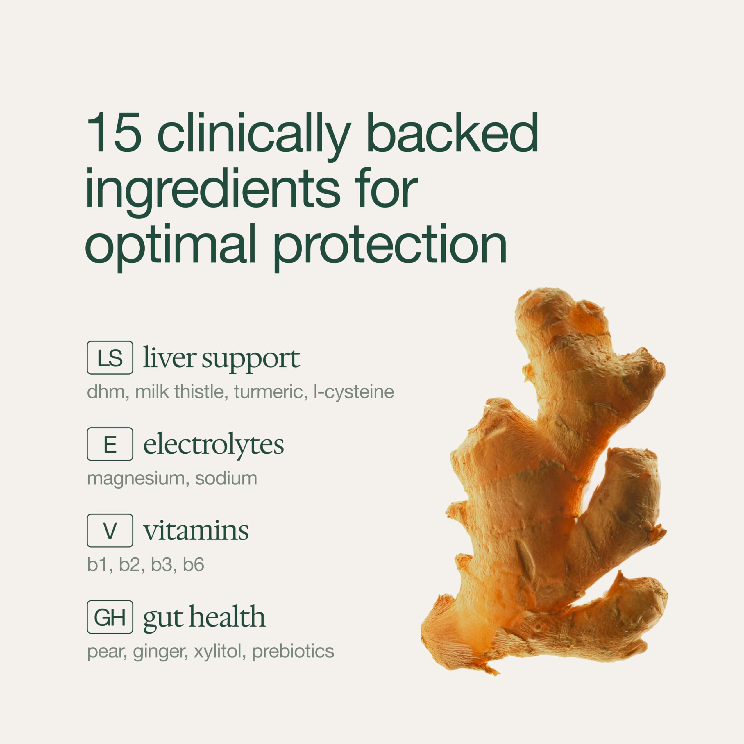 DayGuard ingredients milk-thistle turmeric ginger shown for natural wellness.