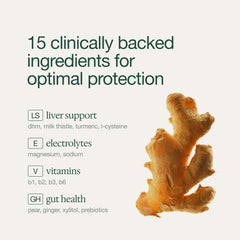 DayGuard ingredients milk-thistle turmeric ginger shown for natural wellness.