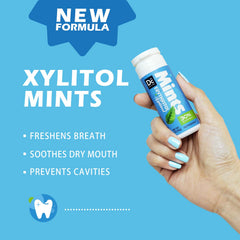 DC24 Daily Care Xylitol Mints assorted flavors provide sugar-free variety