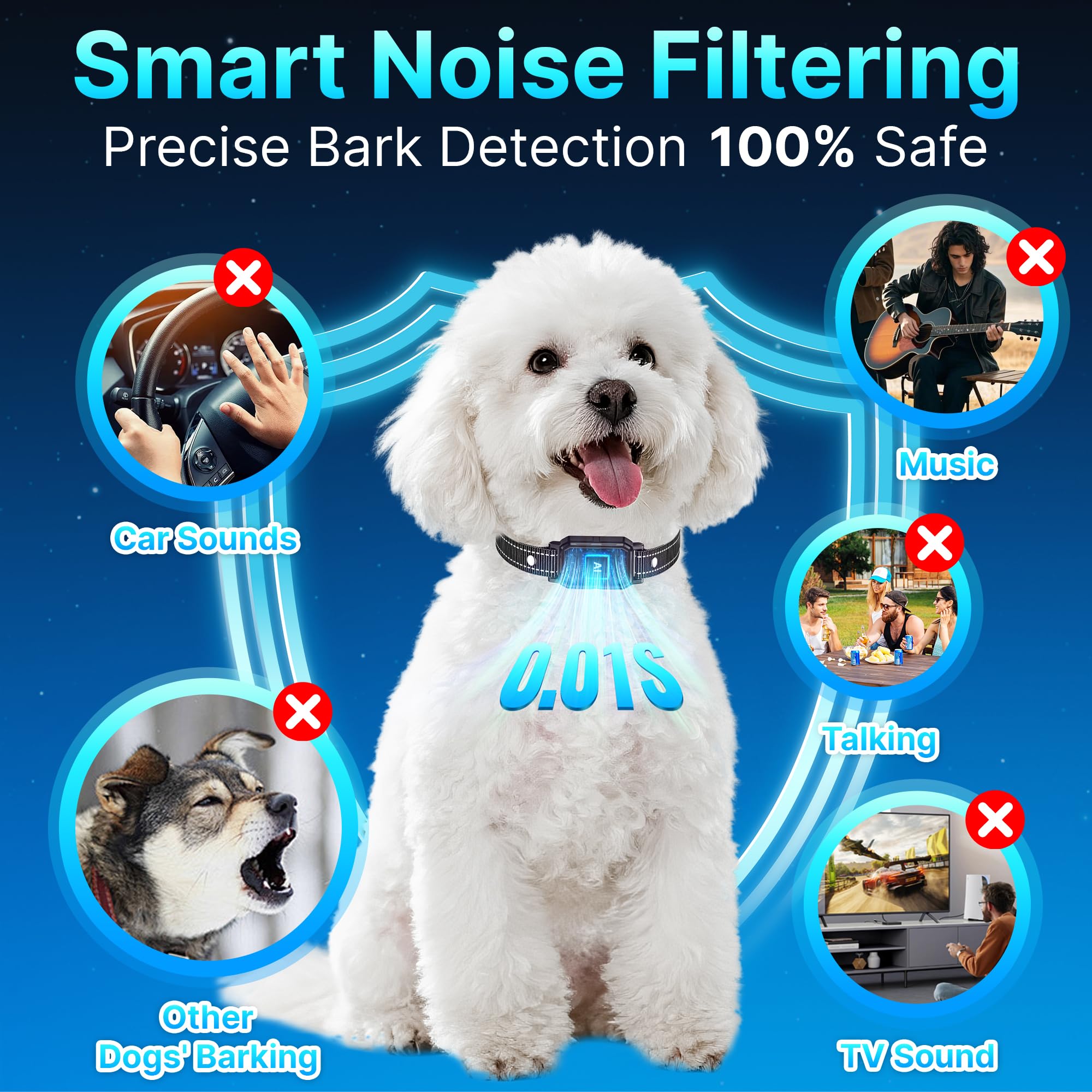 DcvPlan PL30 collar worn by dogs for reliable training on walks