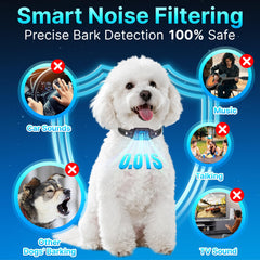 DcvPlan PL30 collar worn by dogs for reliable training on walks