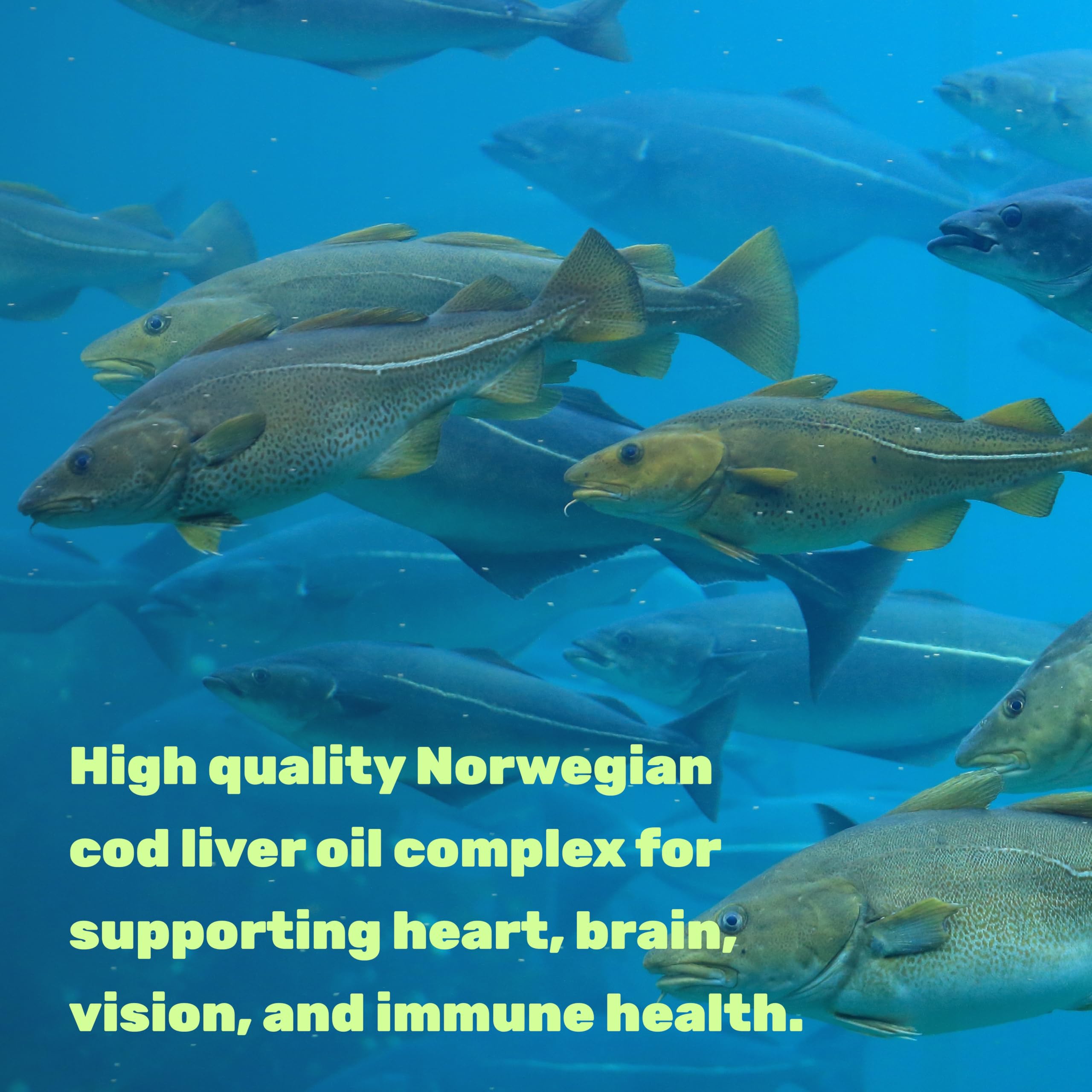 DEAL SUPPLEMENT close up of softgels highlighting omega-3 content