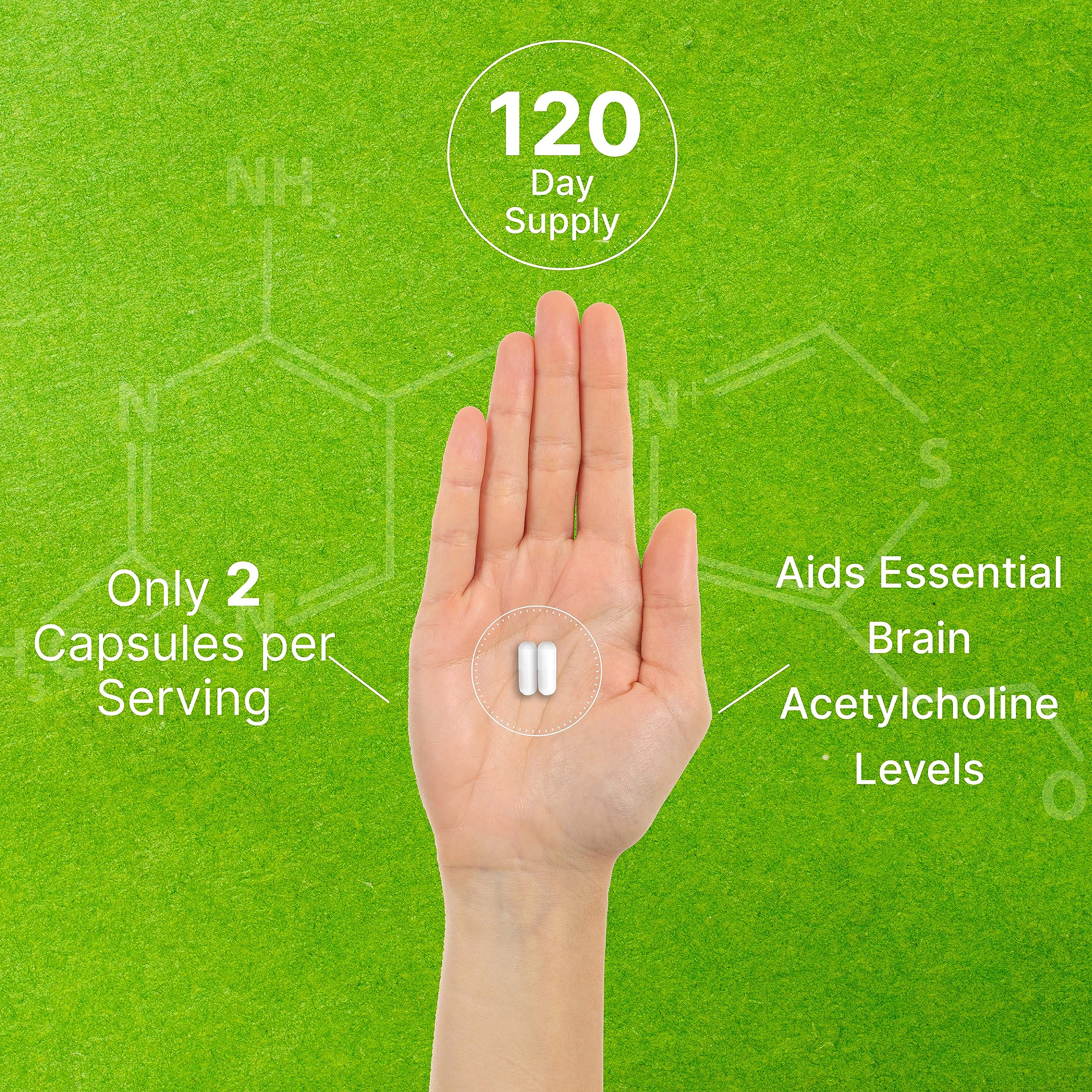 DEAL SUPPLEMENT Alpha GPC bottle on desk presents convenient 2-capsule servings.