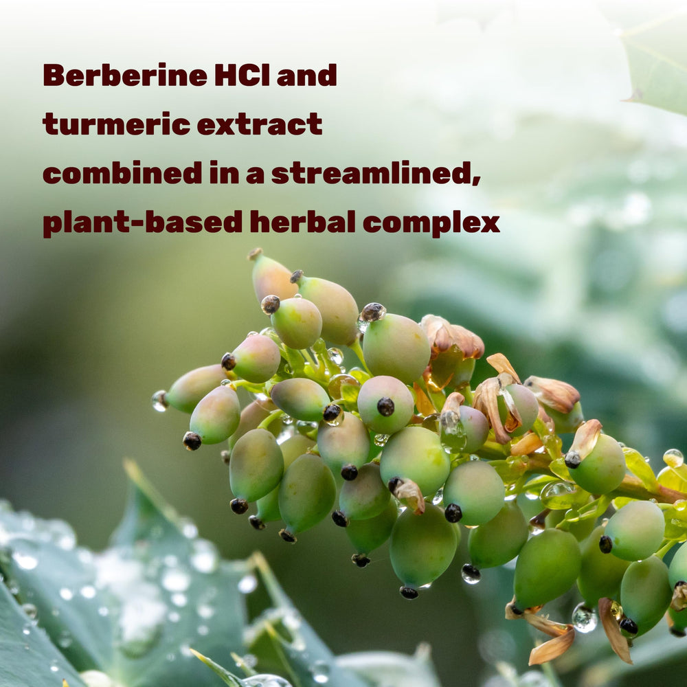 Deal Supplement Berberine Max ingredients panel highlights Non-GMO and allergen-free features.