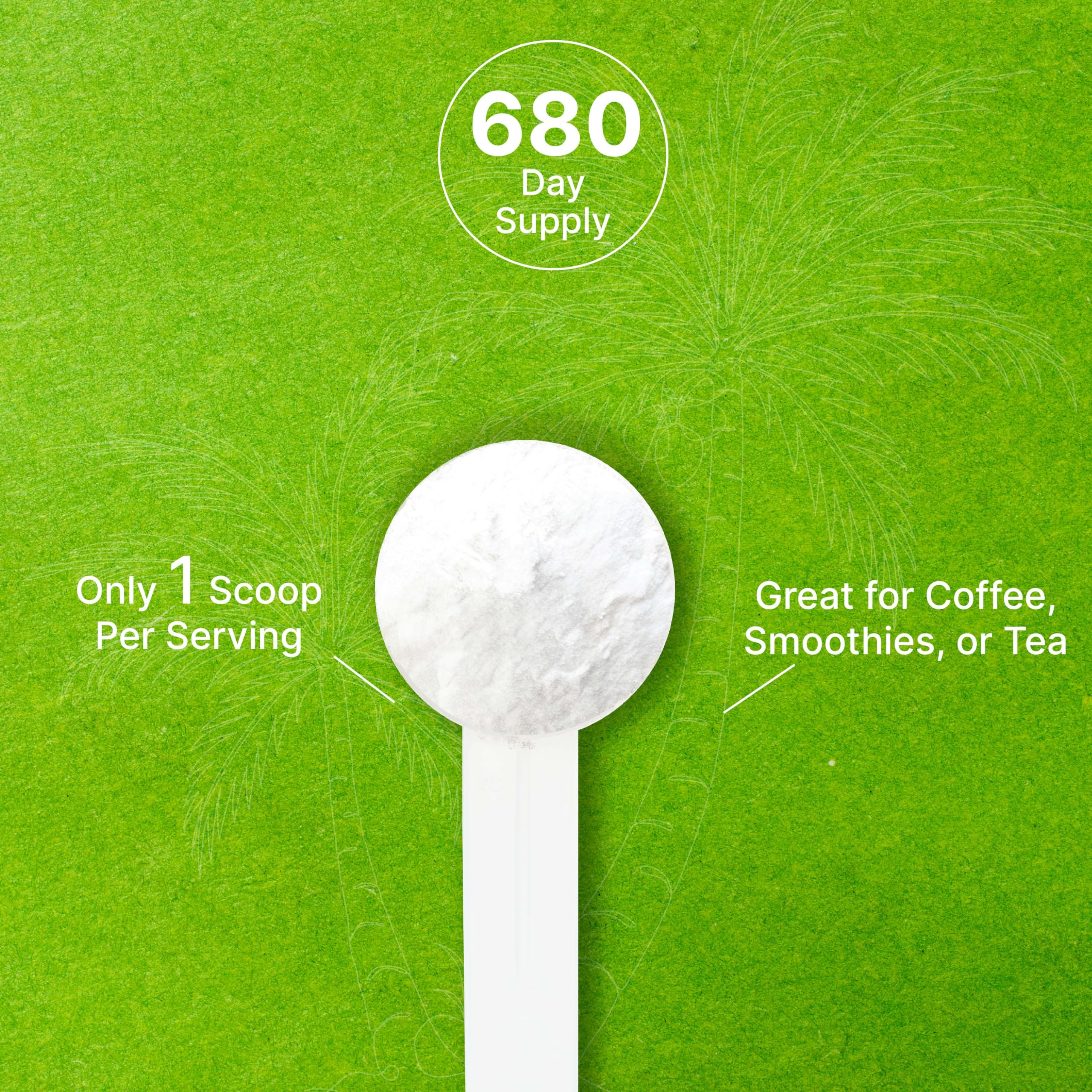 Deal Supplement non-GMO lab-tested organic coconut powder for clean ingredient choices.