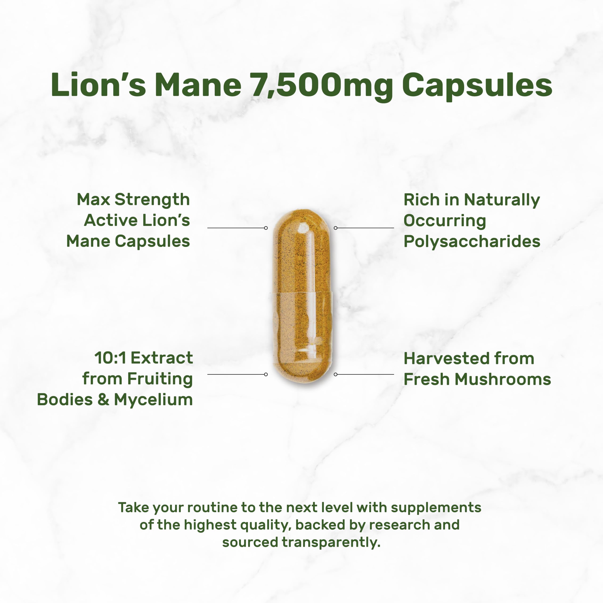 Deal Supplement Lions Mane bottle open image illustrates 240 capsules and packaging clarity.