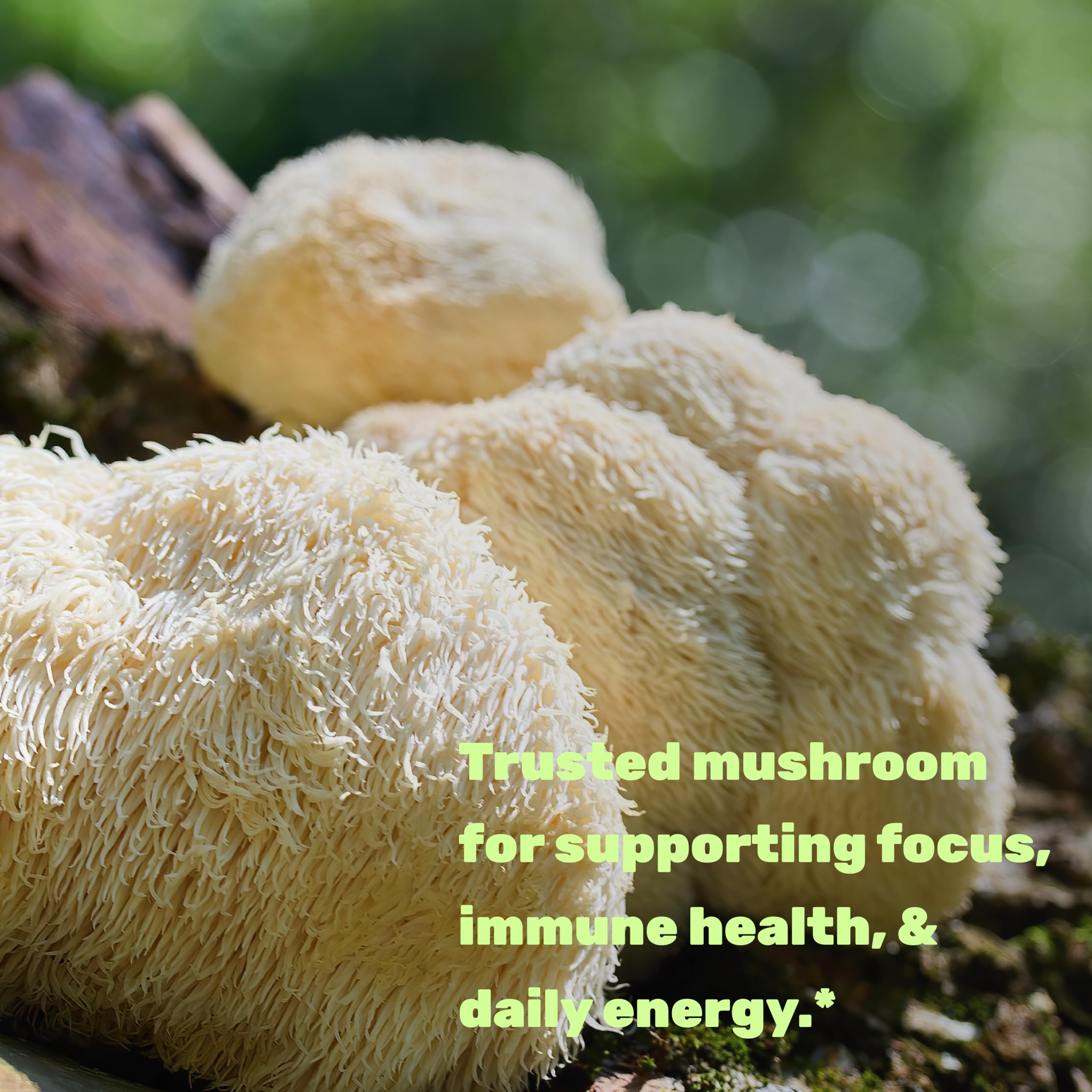 Deal Supplement Lions Mane mycelium and fruiting body artwork signals natural ingredients.