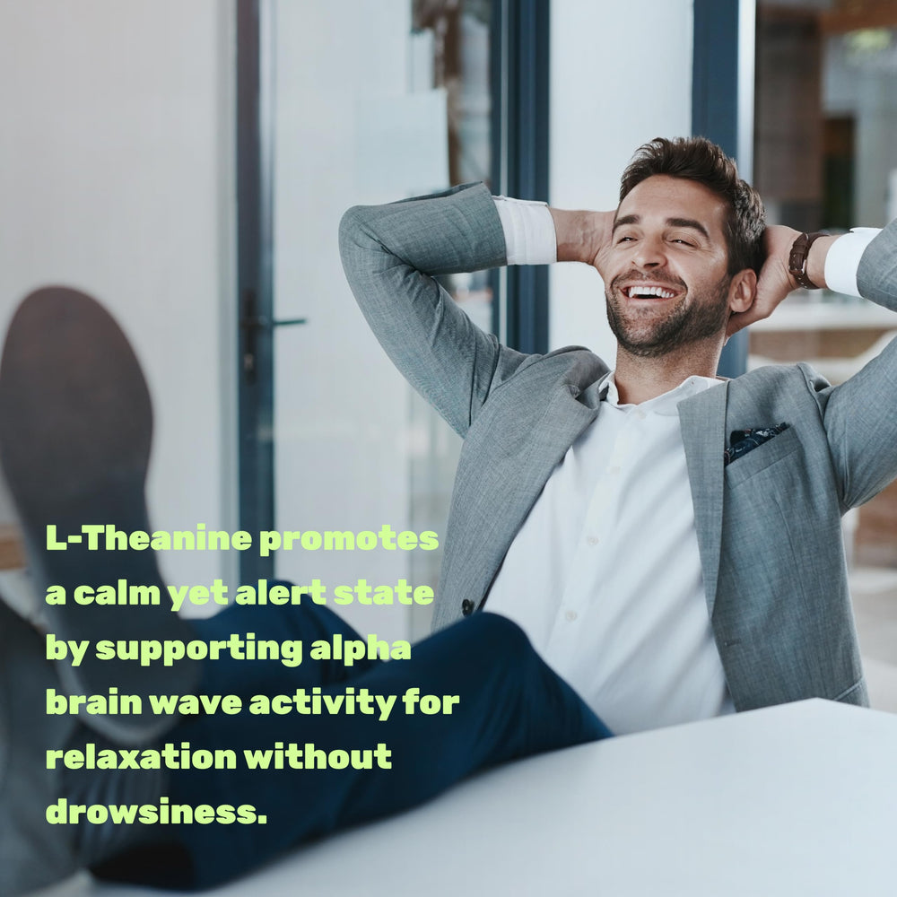 DEAL SUPPLEMENT L-Theanine night scene suggests non-drowsy relaxation before bed.