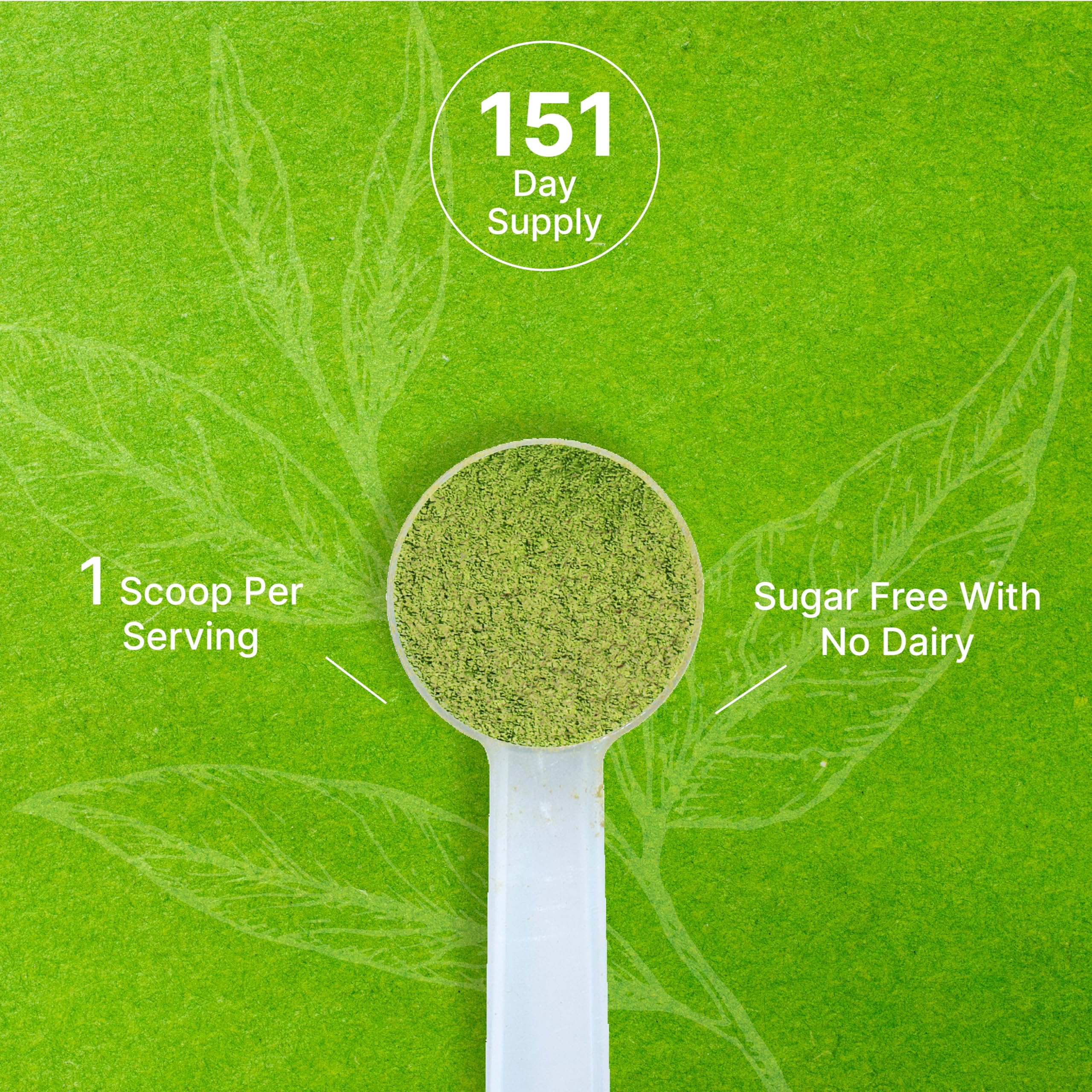 Deal Supplement Organic Matcha Powder measuring scoop beside jar for servings.