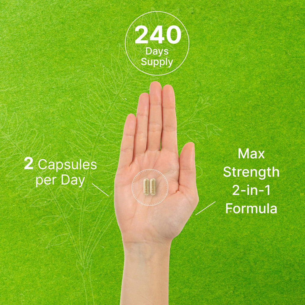 Dosage and usage context for daily energy support