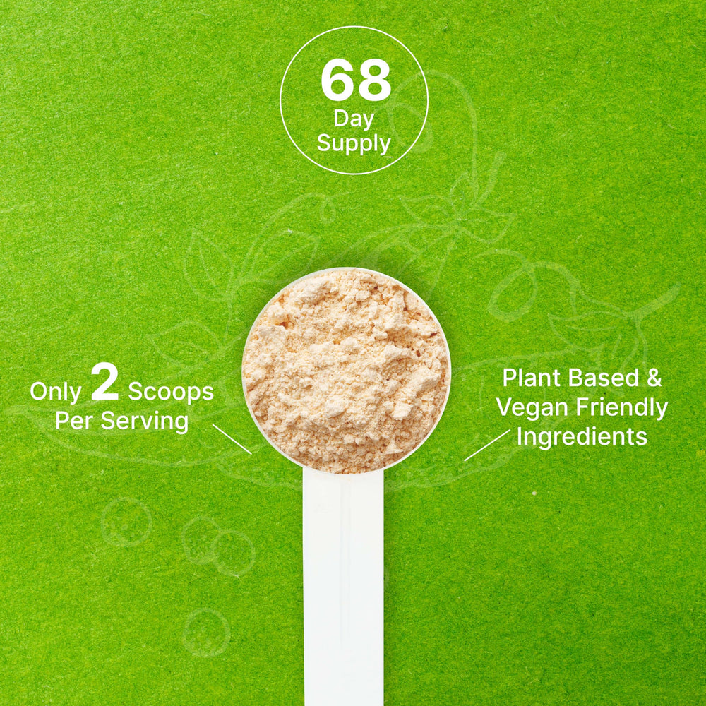 Deal Supplement vegan protein bars and snacks option for convenient nutrition.