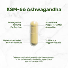 DEAL SUPPLEMENT Vegetarian Ashwagandha capsules offer sustained daily support.