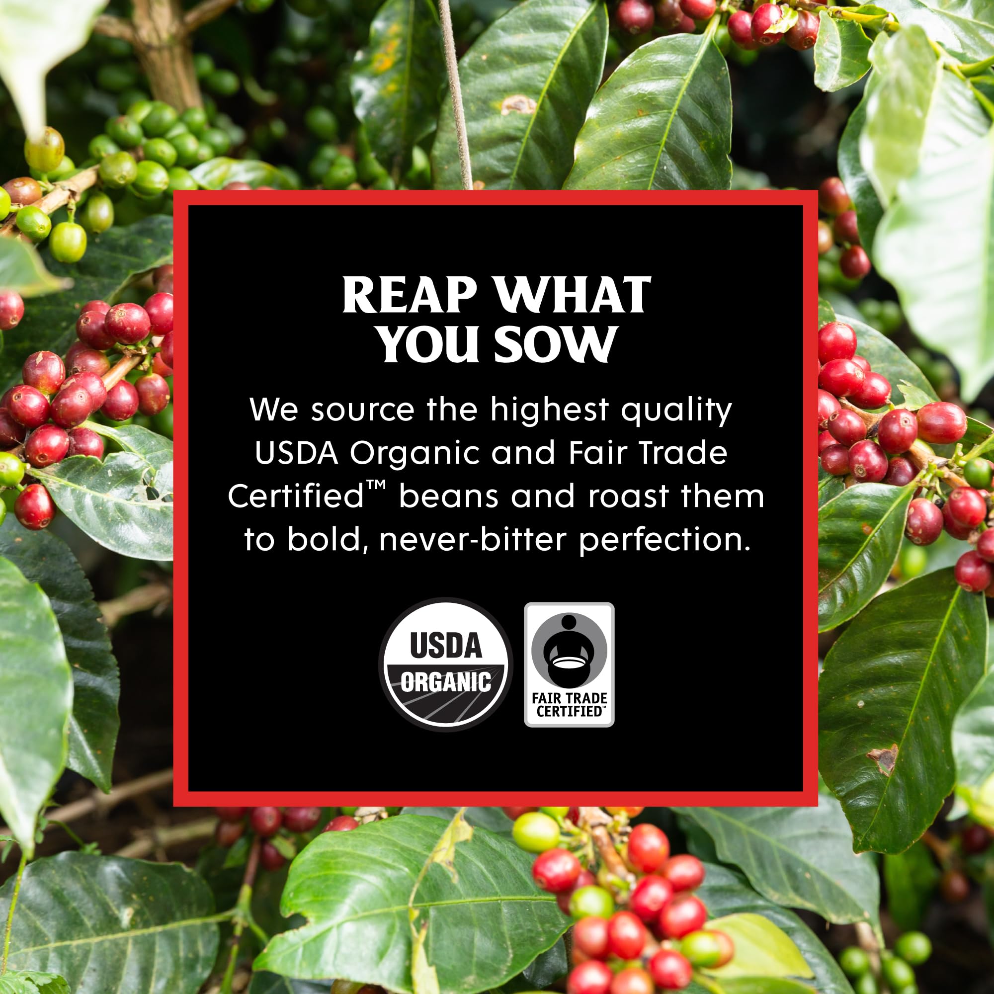 Death Wish Coffee bold brew with robust aroma and low acidity.