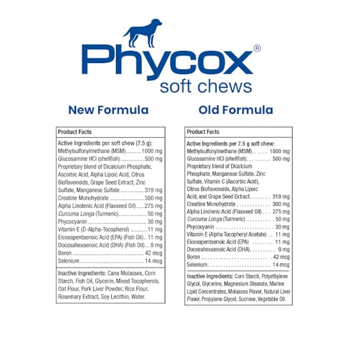 Dechra Phycox soft chews close-up with tasty texture for daily joint support