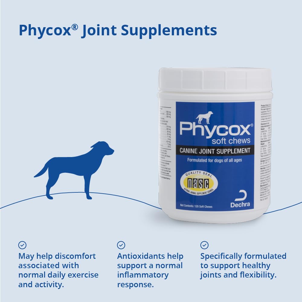 Blue-green algae-derived phycocyanin illustrated as a key ingredient