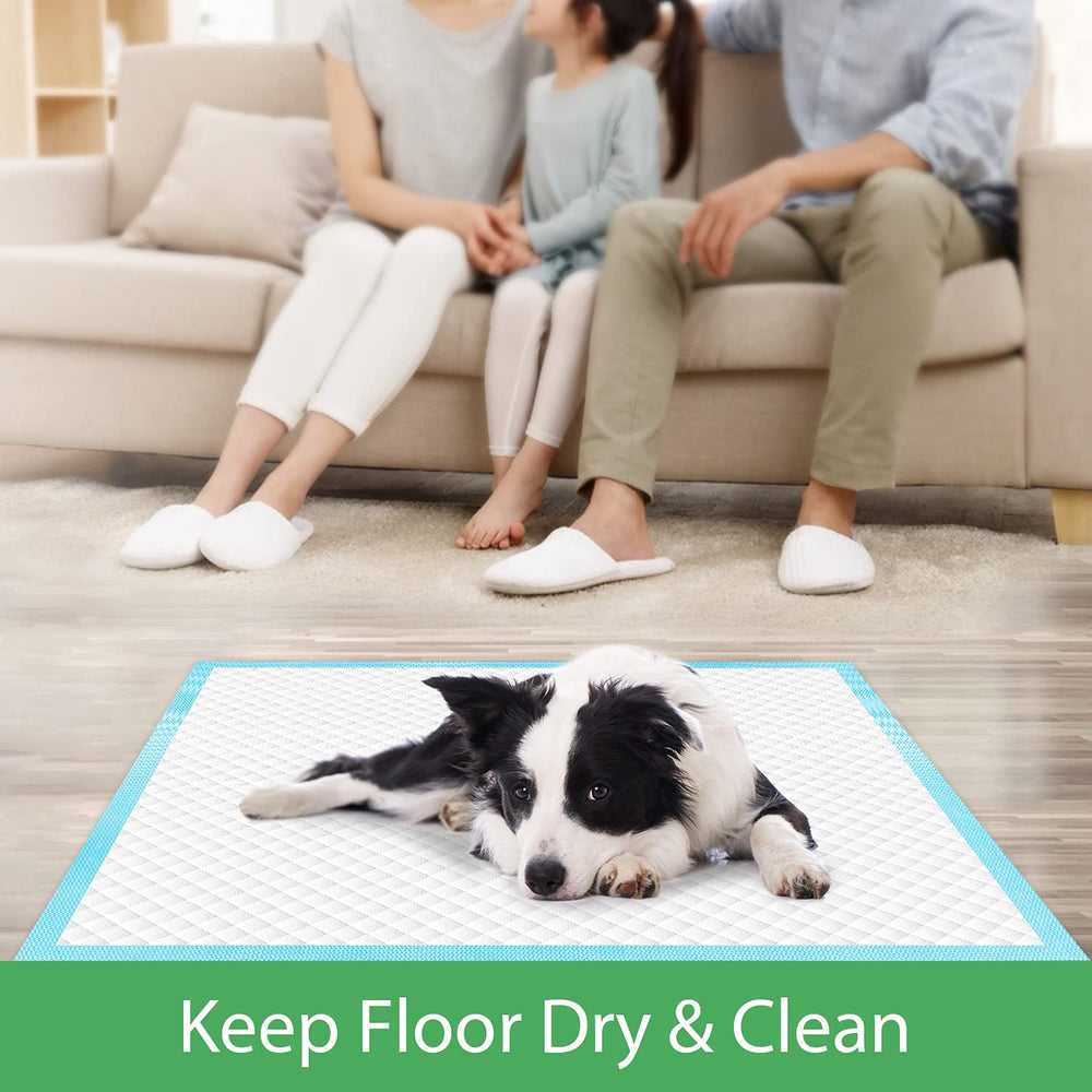 Deep Dear 40-count pack offers convenient bulk option for households.