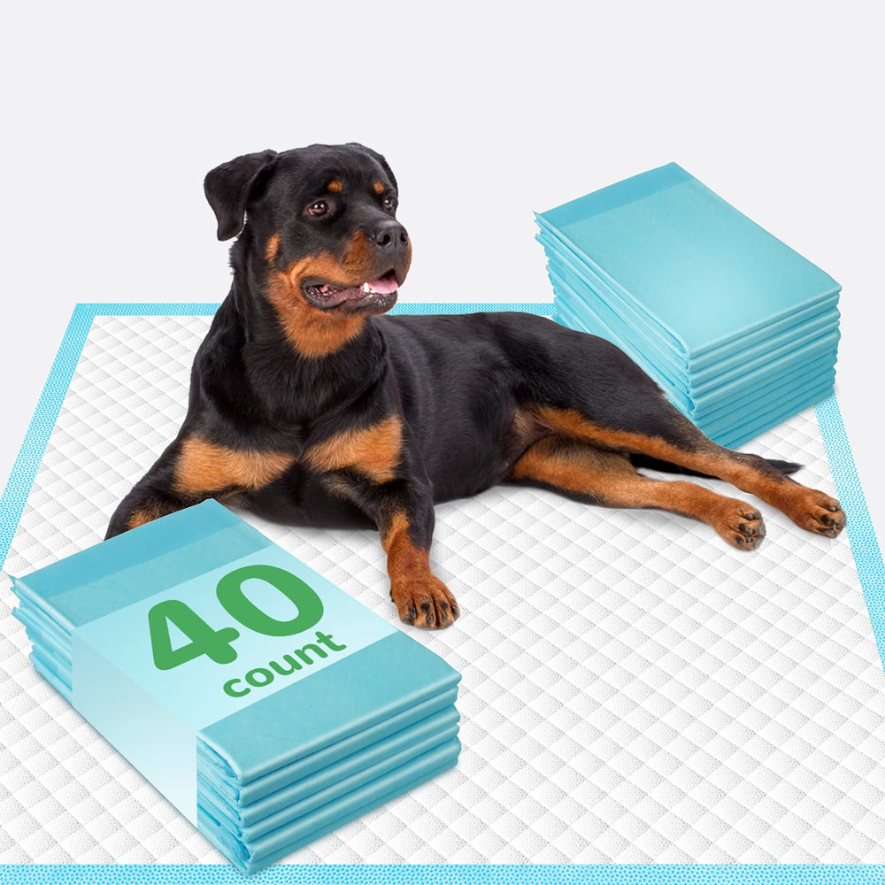 Deep Dear puppy and pet training pad provides multi-pet protection.