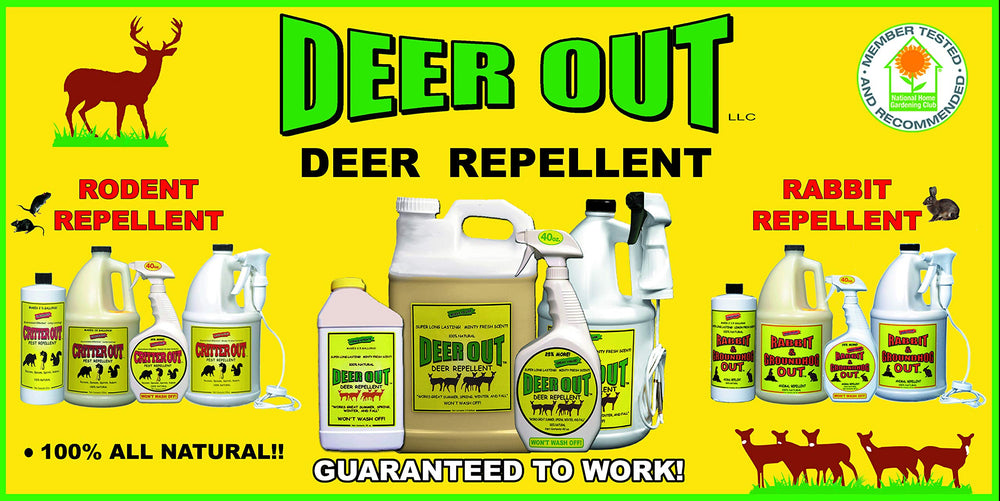 Deer Out garden application scene demonstrating simple, effective plant protection.
