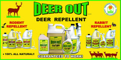 Deer Out garden application scene demonstrating simple, effective plant protection.