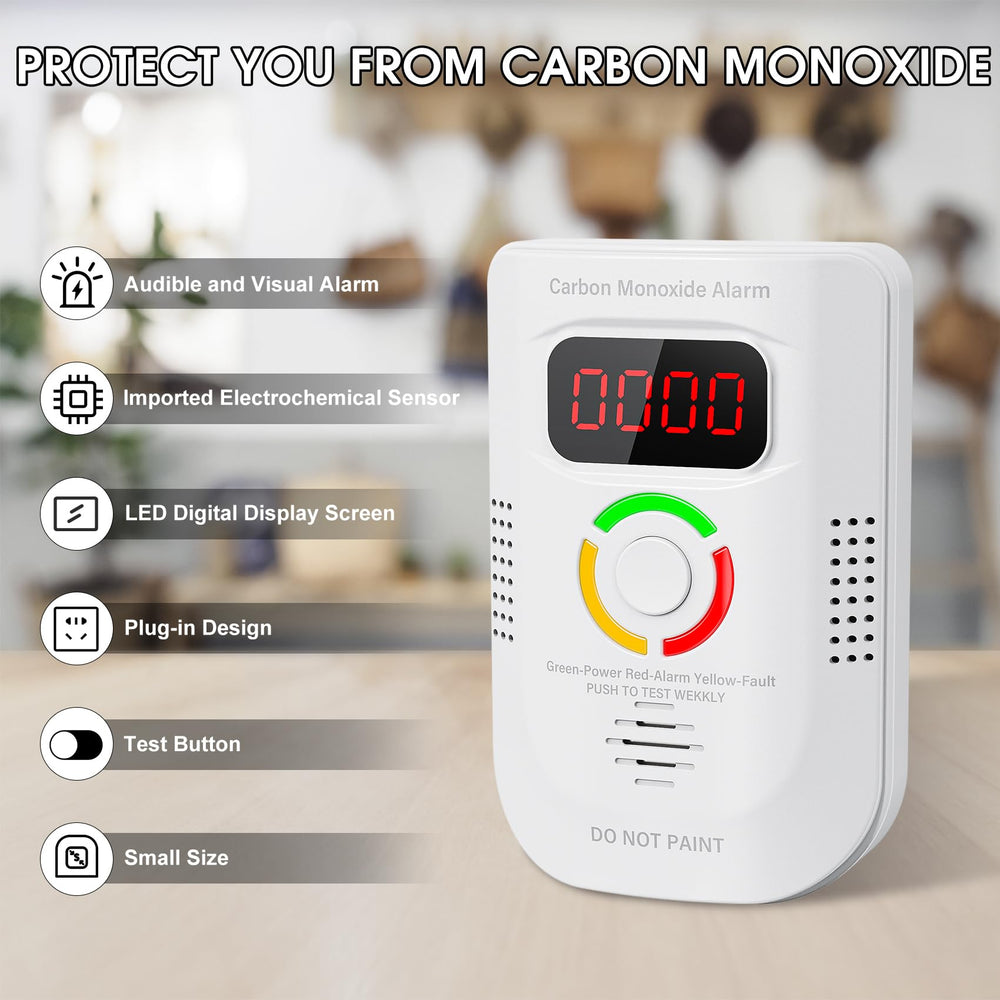 Deller CO detector alarm activates audible and visual alerts