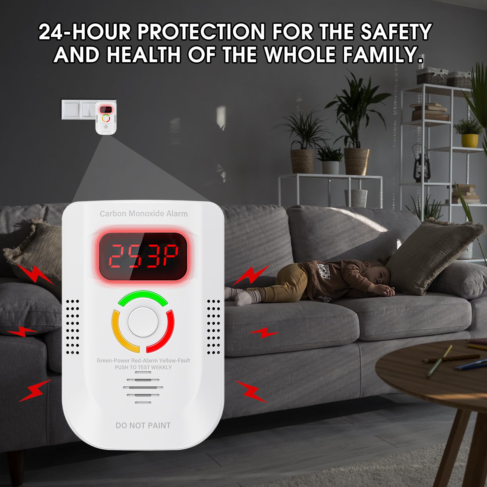 Deller detector peak memory recalls highest CO level readings