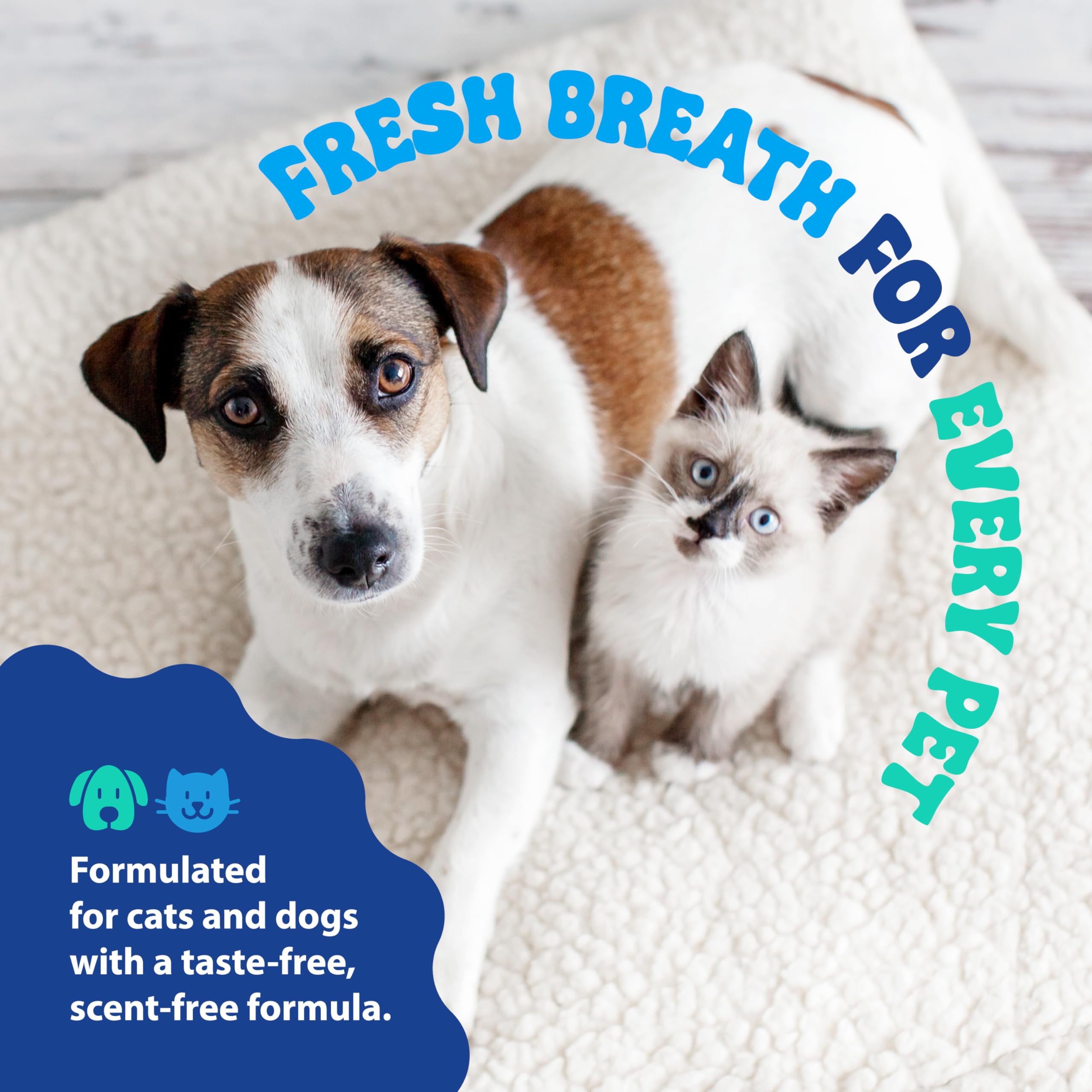 Dental Fresh – fabrication américaine, qualité constante, nouveau design d'emballage.