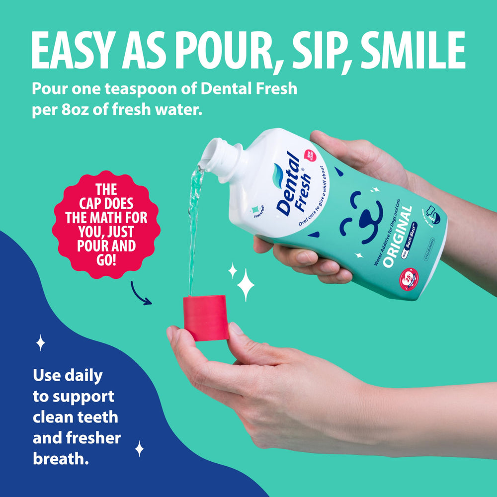 Dental Fresh – solution neutre sans arômes, intégration facile au boire quotidien.