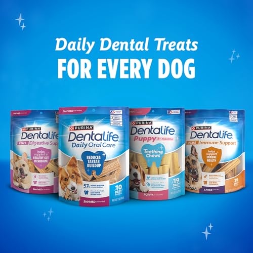 Dentalife ActivFresh 60 total chews for routine care.