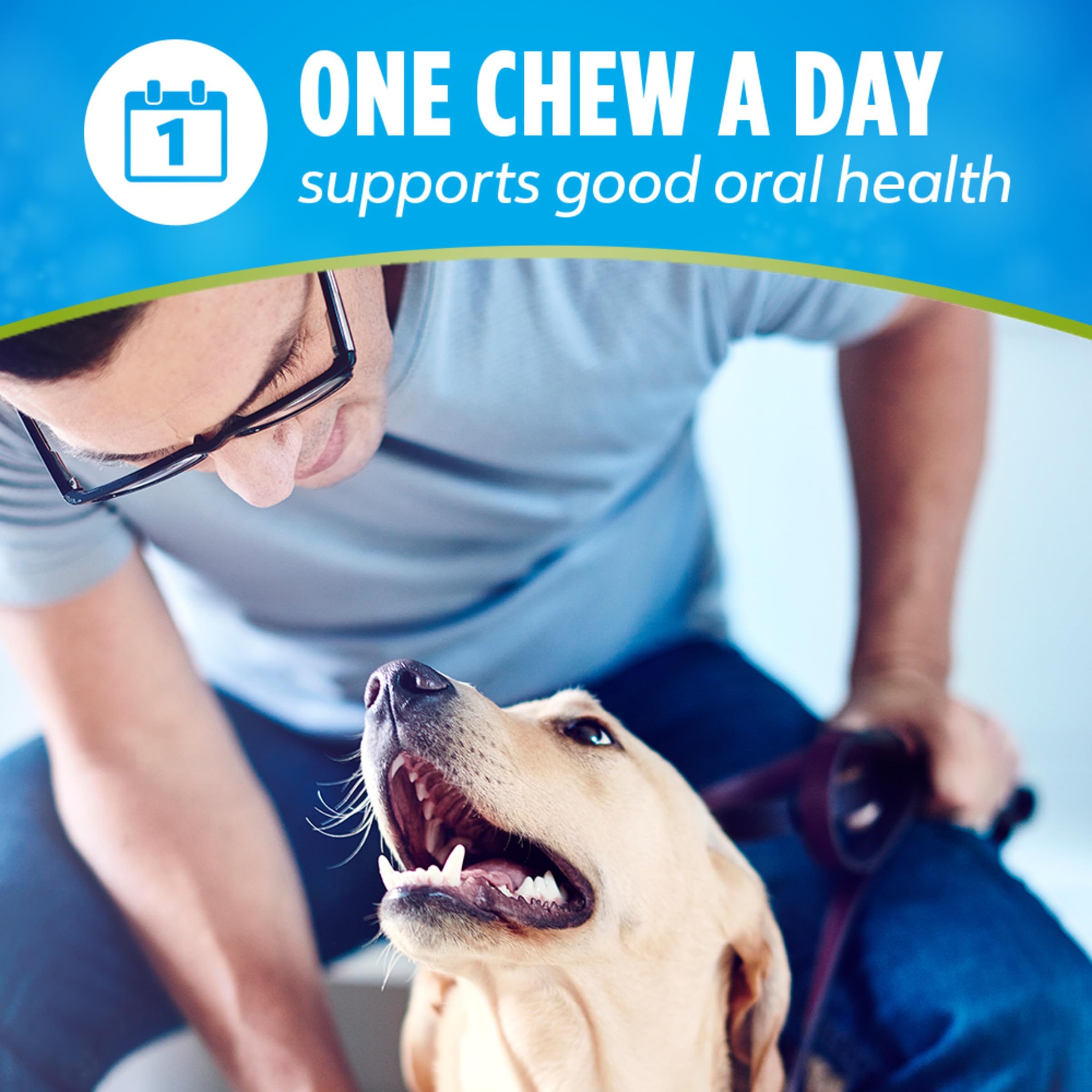Dentalife ActivFresh chews in bowl suggesting daily use