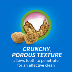 Dentalife porous-texture cat treats emphasize dental-cleaning potential as she chews.