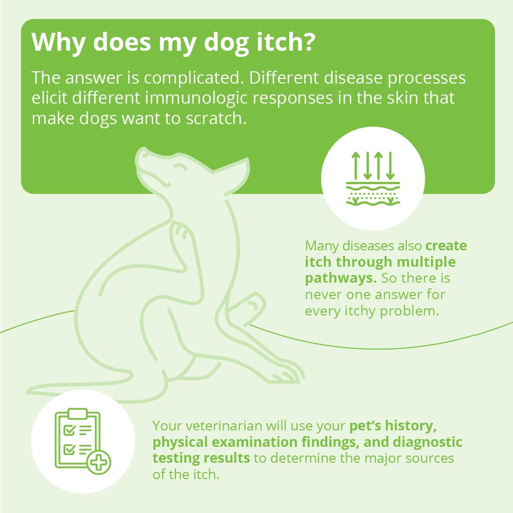 DermAllay dry skin care application focuses on hydration and repair during grooming