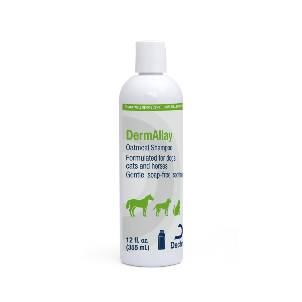 DermAllay oatmeal shampoo bottle shown for gentle cleansing and skin moisture
