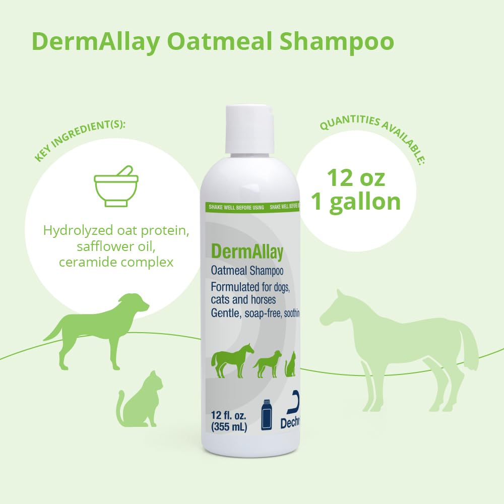 DermAllay oatmeal shampoo pour demonstrates easy, soothing bath time for pets