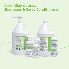 DermAllay pet bath scene emphasizes comfortable grooming during routine baths