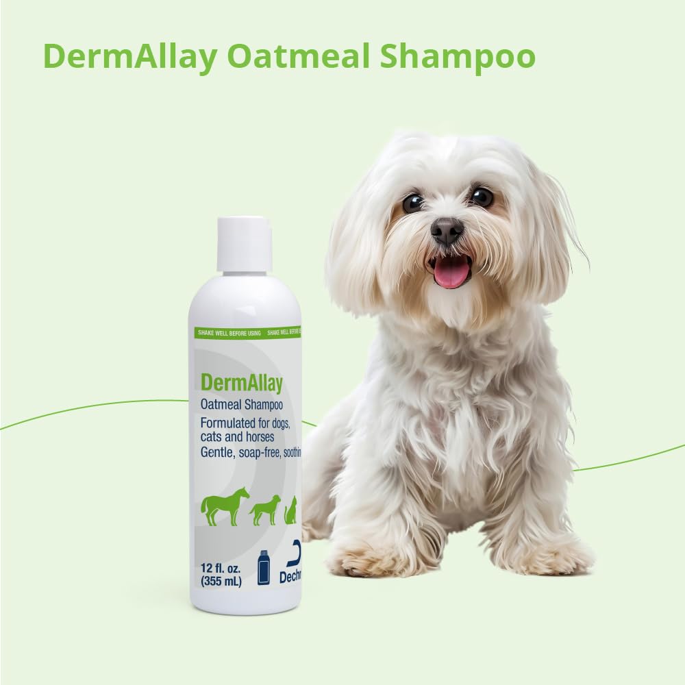DermAllay pet grooming session portrays calm bath and relief potential