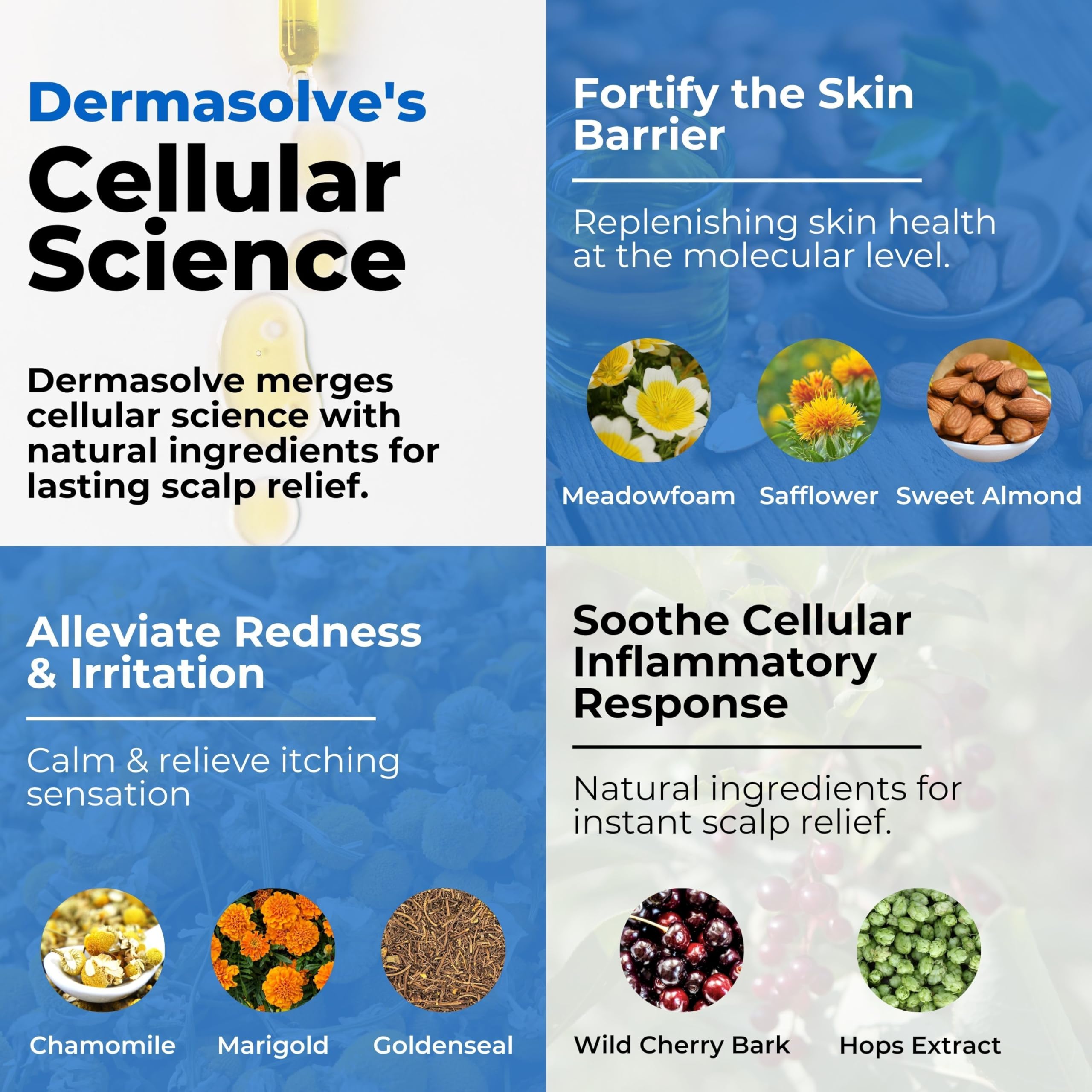 Sweet almond oil provides hydration for dry hair in Dermasolve
