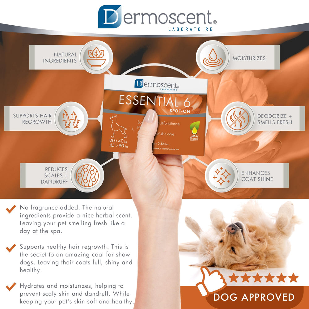 Dermoscent Essential 6 coat shine close-up suggesting healthier fur