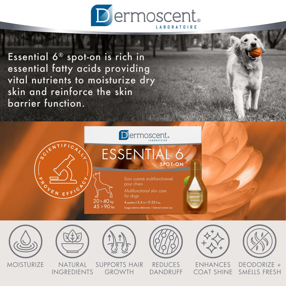 Dermoscent Essential 6 packaging with four 2.4 ml pipettes ready to use