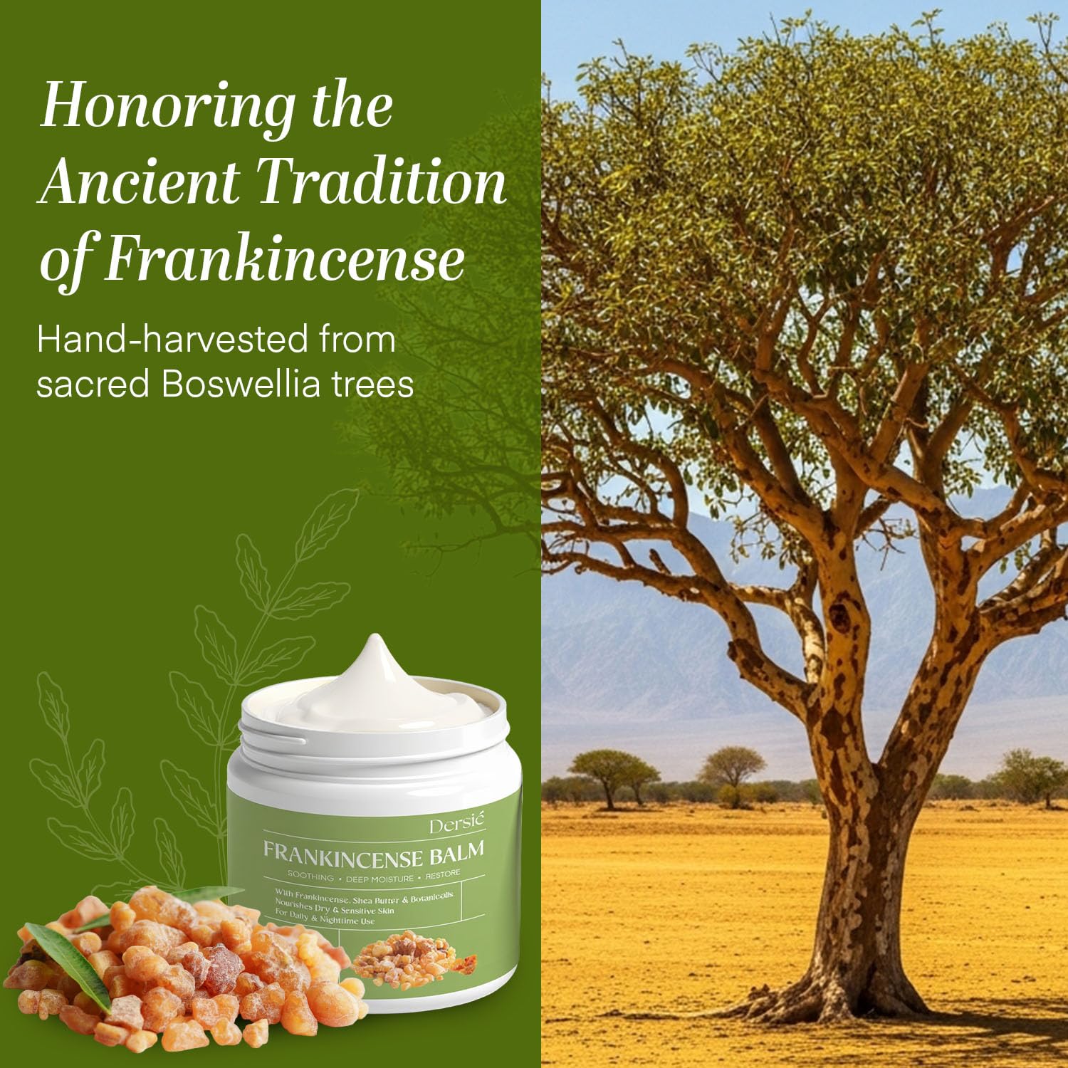 Dersie Frankincense Balm lavender and ginger aromatics in the focus.