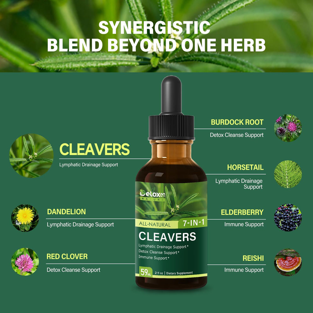 DetoxenNATURE Cleavers, Dandelion, and Horsetail ingredients arranged for detox and drainage.