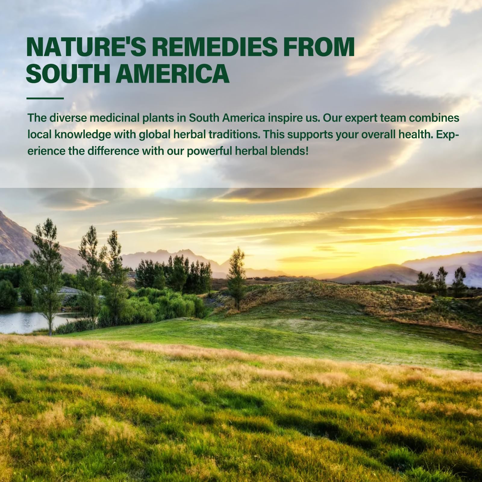 DetoxenNATURE 100% plant-based formula with no additives.