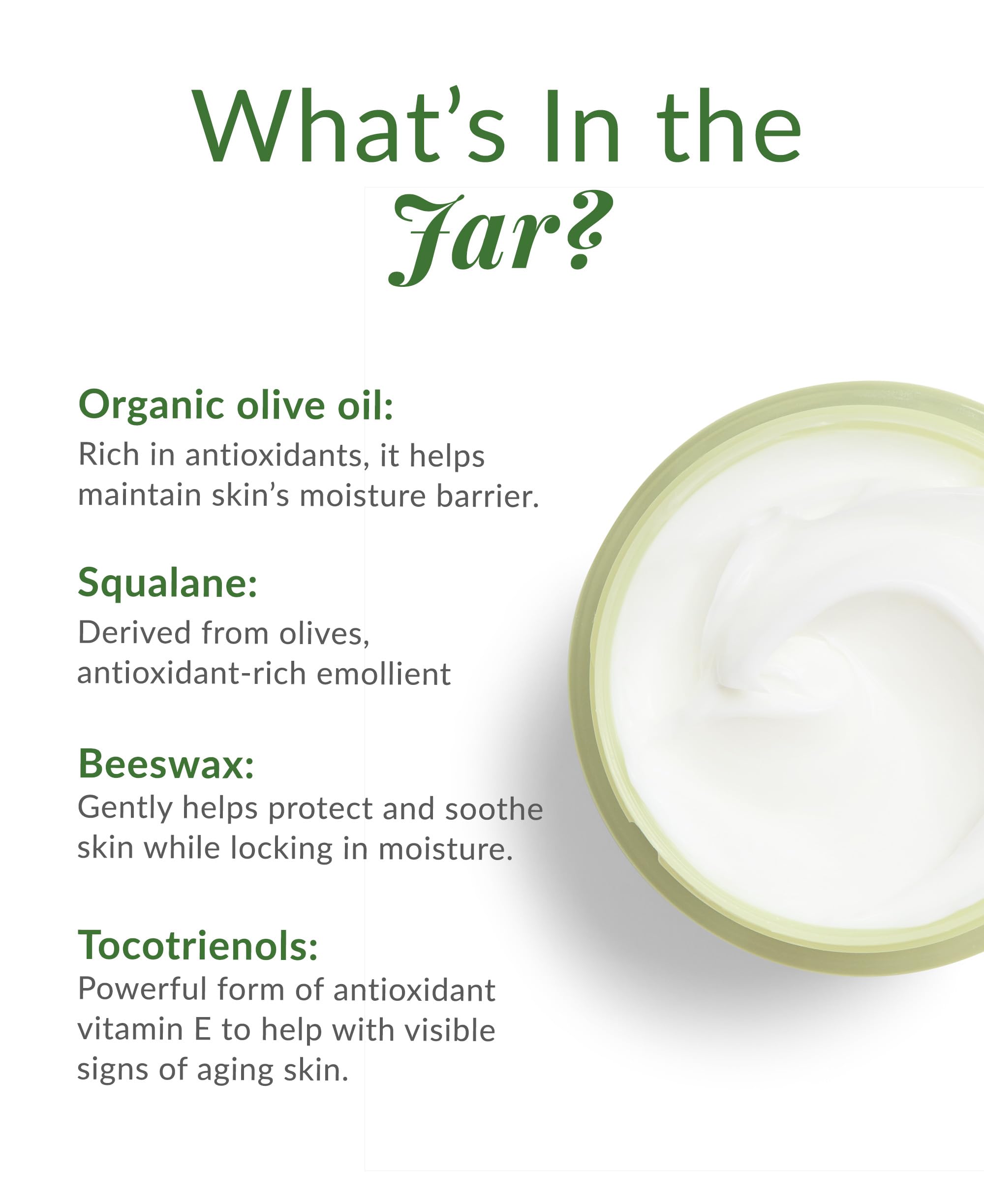 DHC Olive Virgin Oil Essential Cream applied in the morning routine for a refreshed look