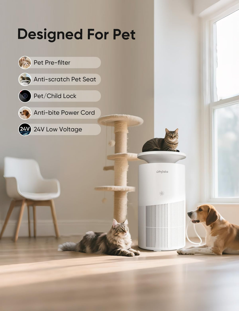 Dhyala activated carbon filter neutralizes odors from pets and cooking.