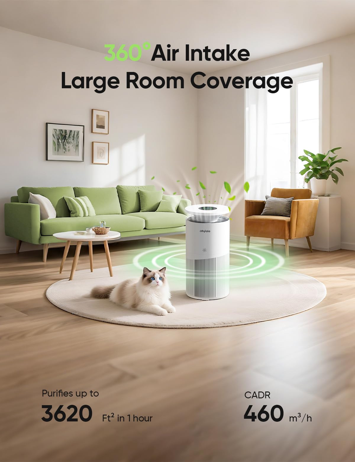 Dhyala true HEPA filtration captures pet dander and dust effectively.