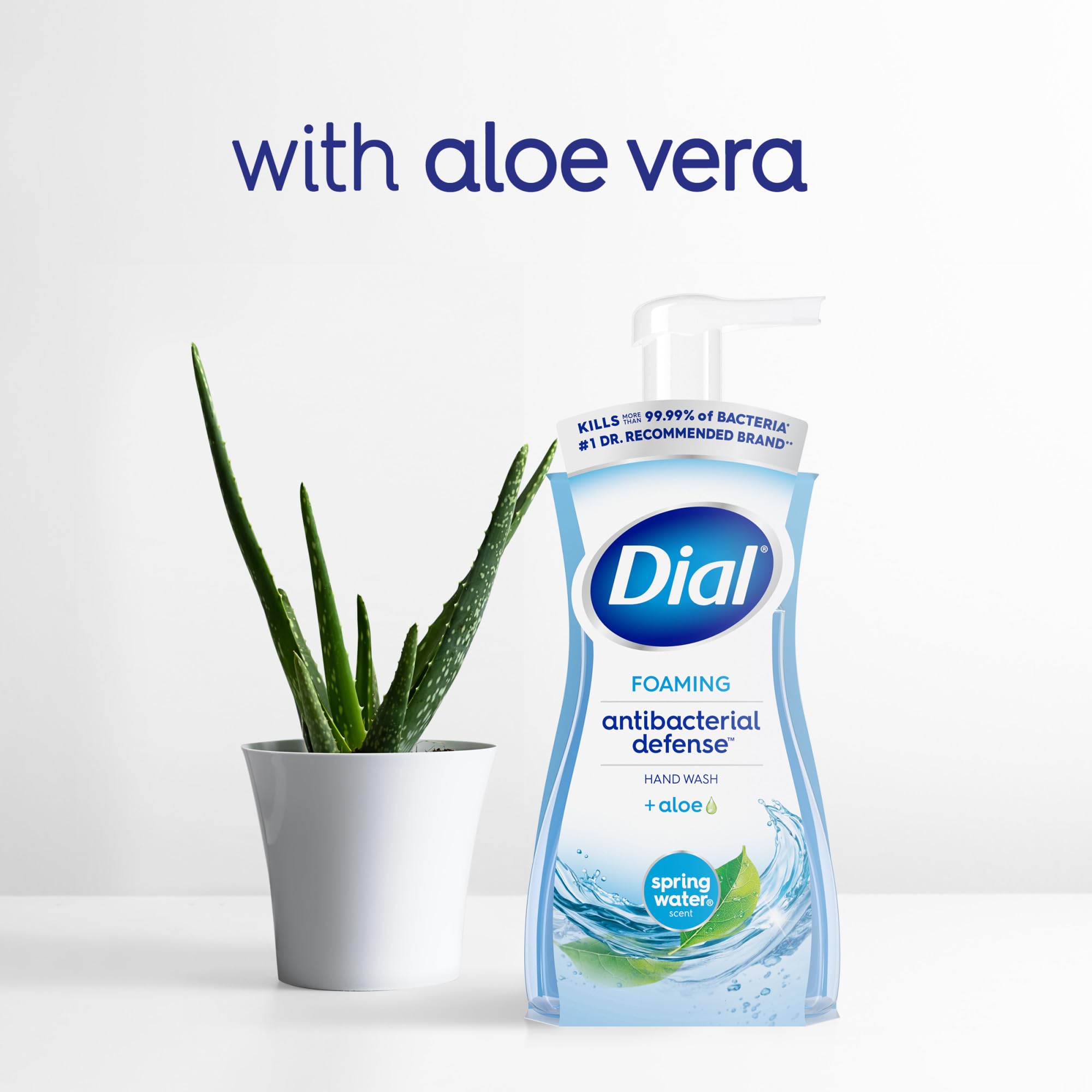 Dial Antibacterial Defense at kitchen sink ready for quick cleansing