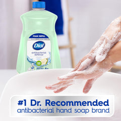 Dial Antibacterial Foaming Hand Soap ingredient detail featuring aloe vera moisturizers