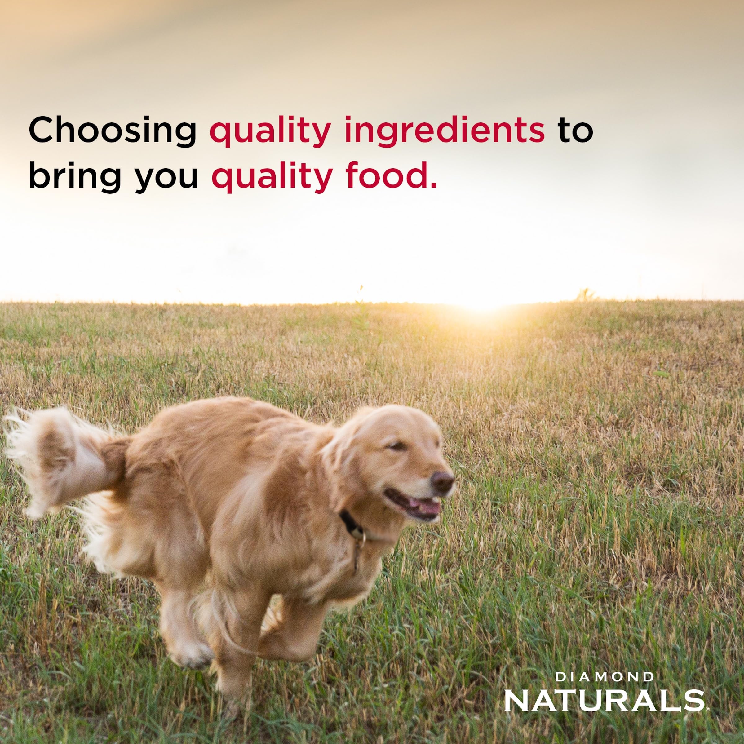 Diamond Naturals USA-made, high-quality ingredients from trusted sources