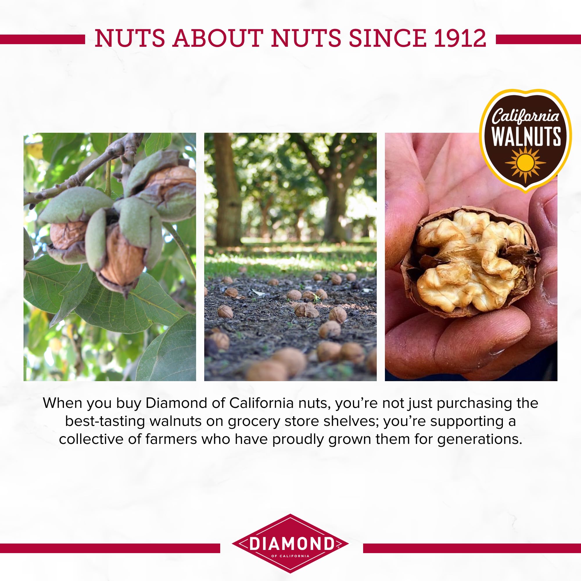 Diamond of California salad topper walnuts add texture and nuttiness to bowls.